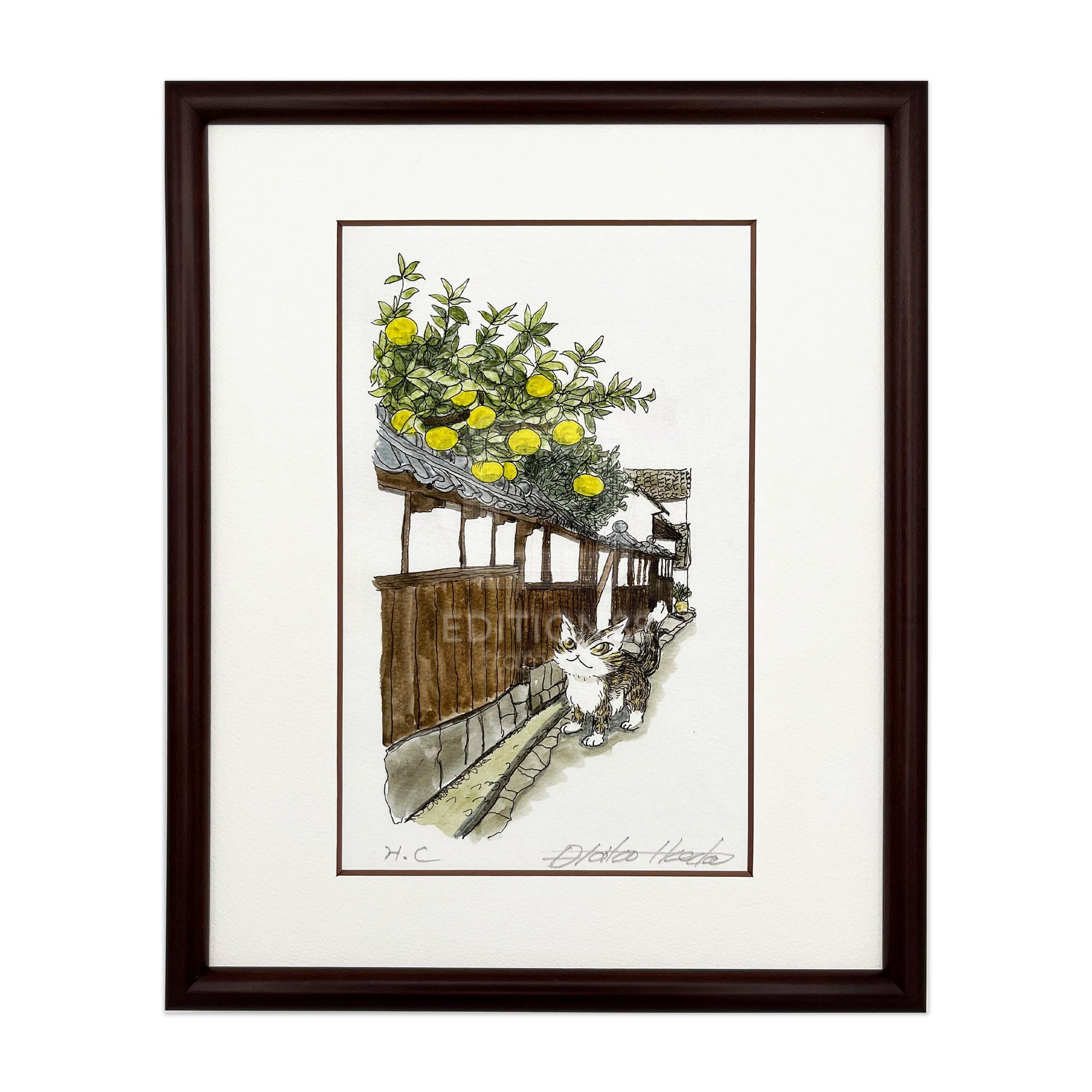 dayan_28_01_800b81ed-aa16-4790