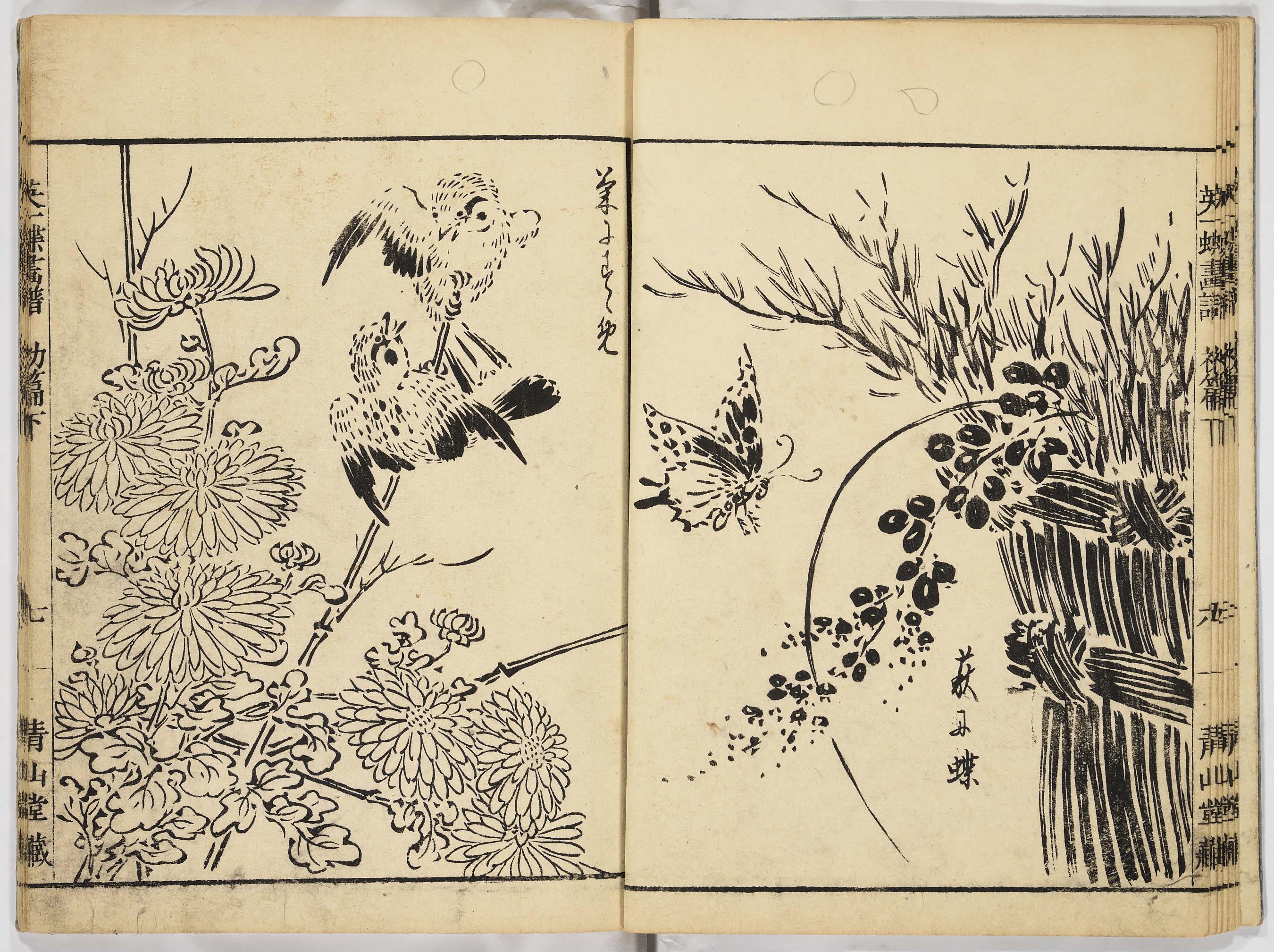 一蝶画譜: Ehon Database