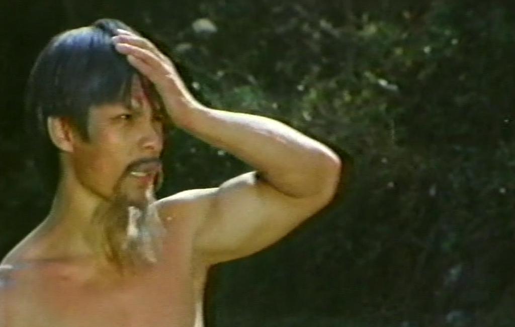 未公開カンフー映画】イーグルマスター決死拳(穴門鷹爪/穴门鹰爪THE