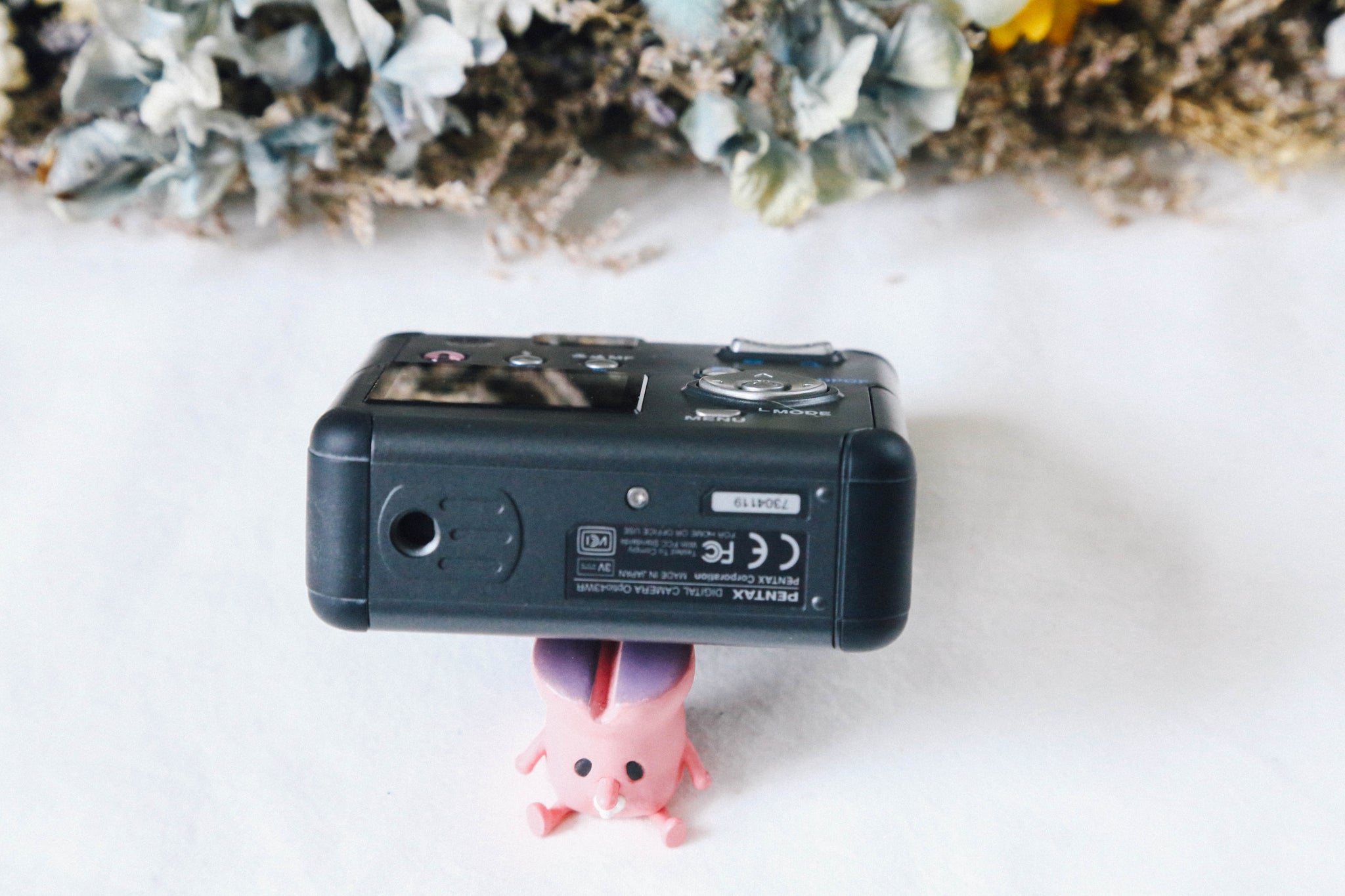 PENTAX Optio 43WR 🌊 ほぼ水中カメラ🐠 CCDセンサー搭載 オールド