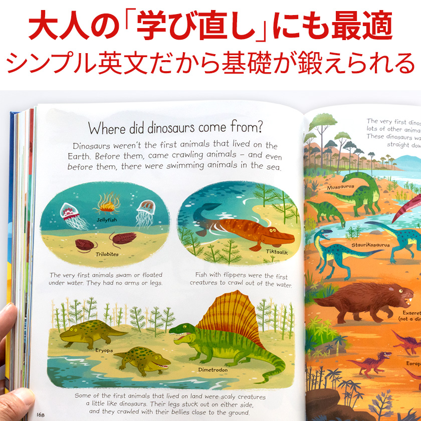 英語イラスト百科事典 Usborne My First Encyclopedia | 英語伝