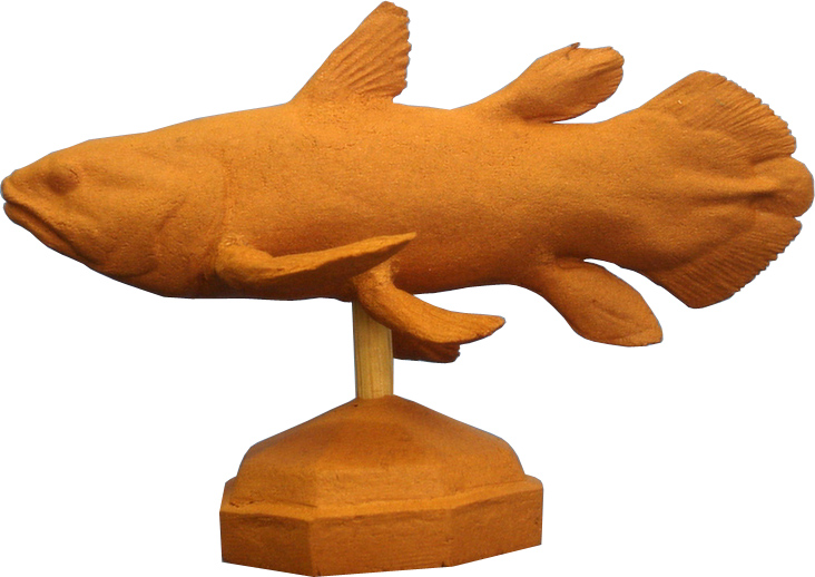 手作りエコ粘土魚フィギュア◇古代魚シーラカンス◇スタディフィギュア