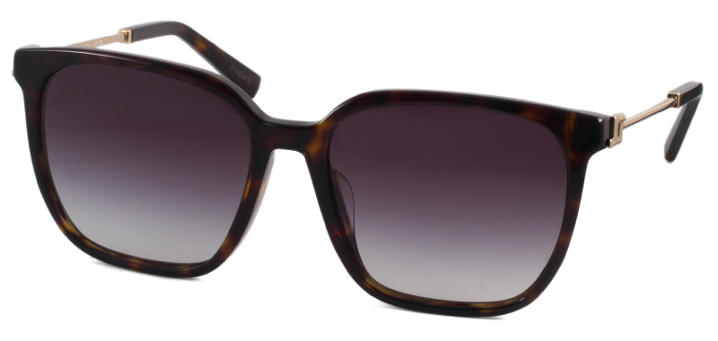 TF4243-D ティファニー サングラス｜ブランドメガネ専門店 エレガンス東京