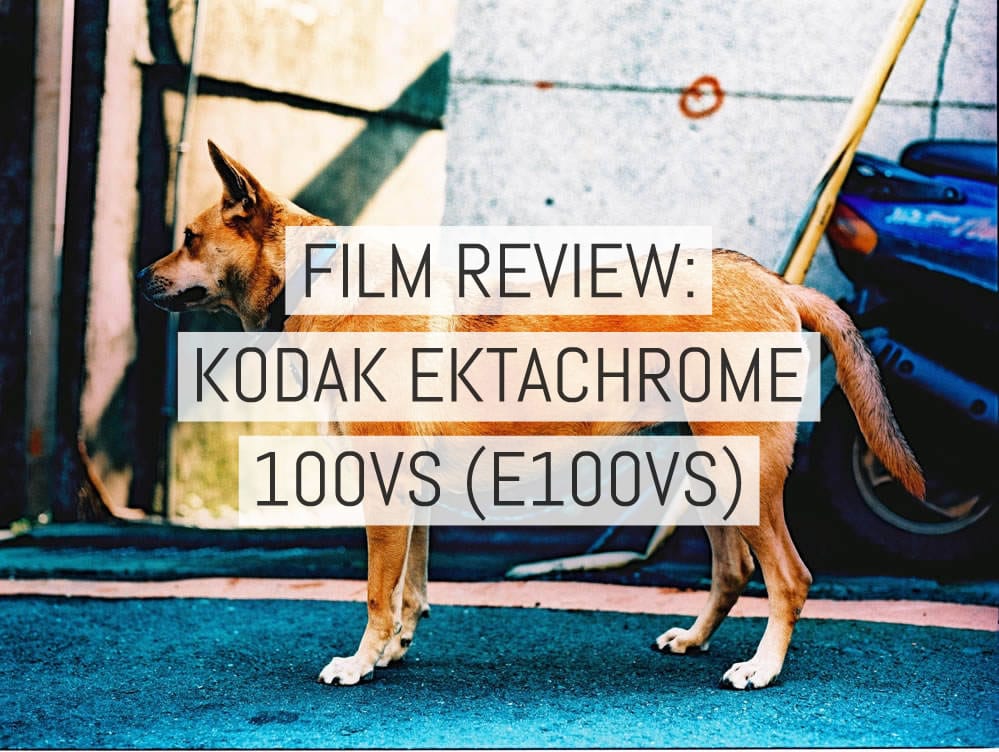 Film stock review: Kodak EKTACHROME 100VS (E100VS) color slide
