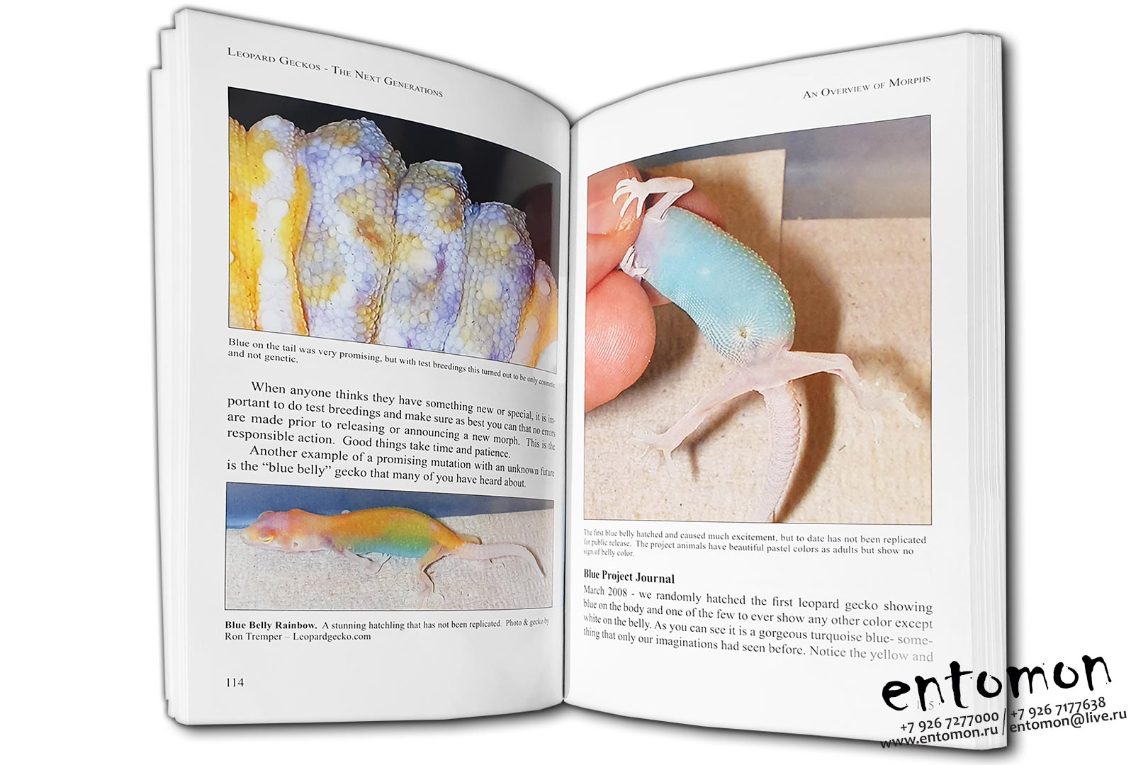 Leopard Geckos: The Next Generations - Ron Tremper