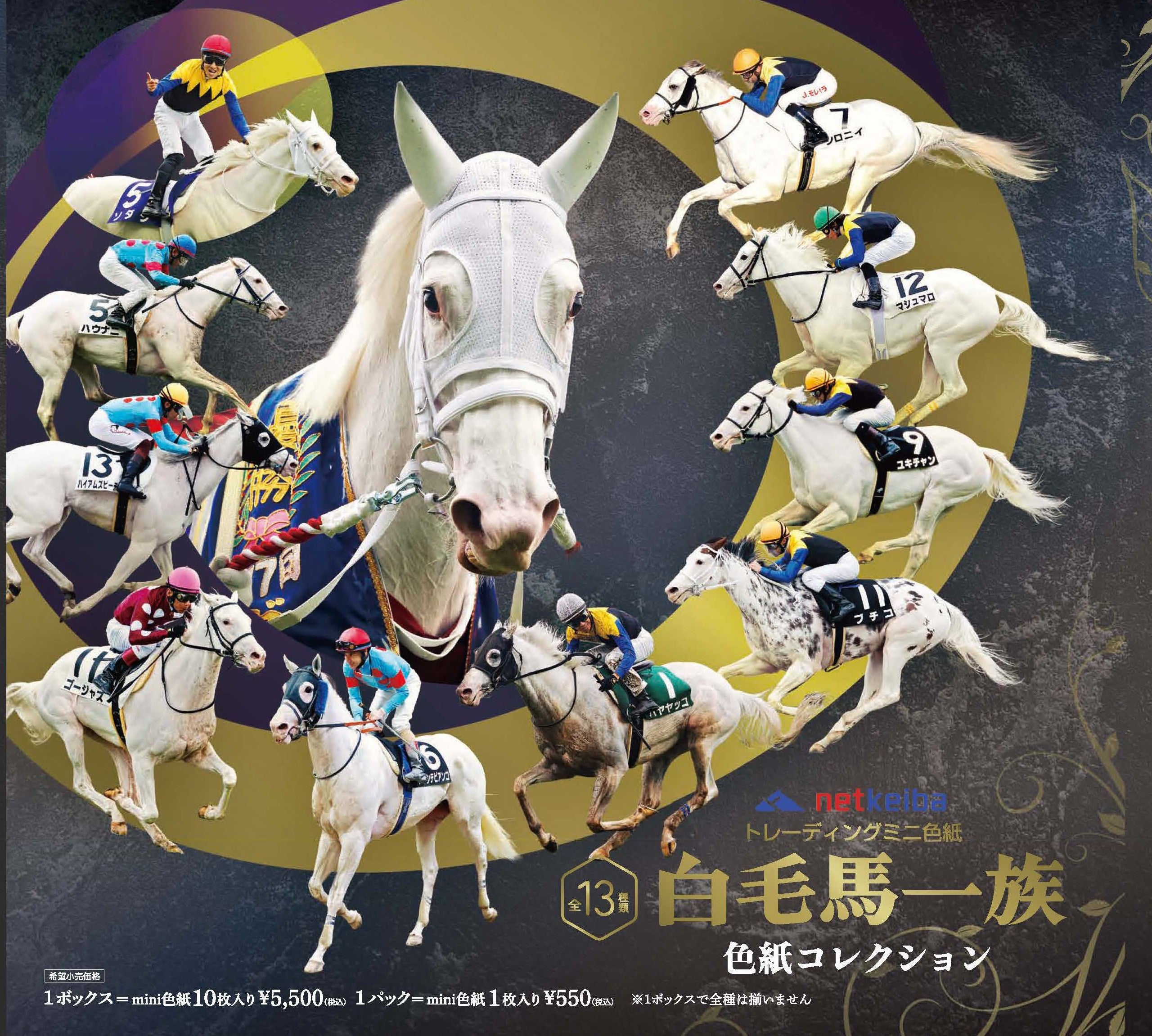 白毛馬一族色紙コレクション1BOX – kawaraban