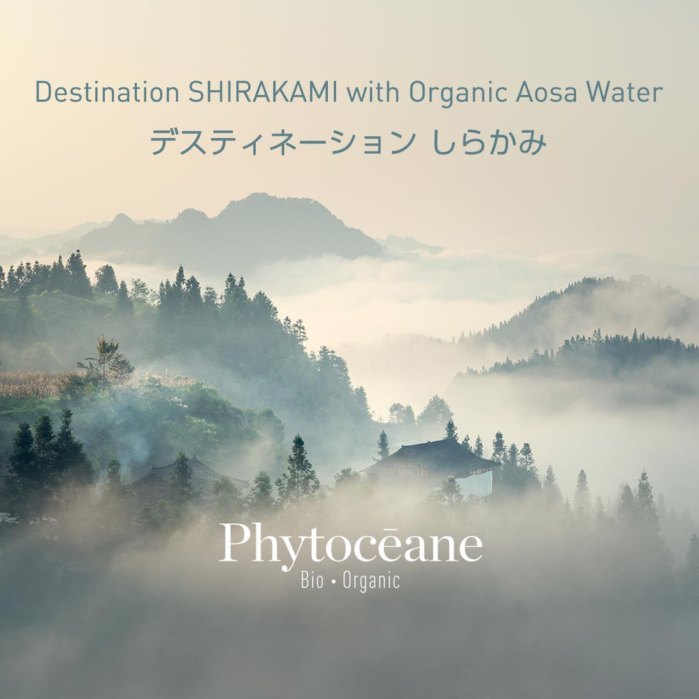 NEW】フィトオセアン ナチュラル モイスチャライジング クリーム