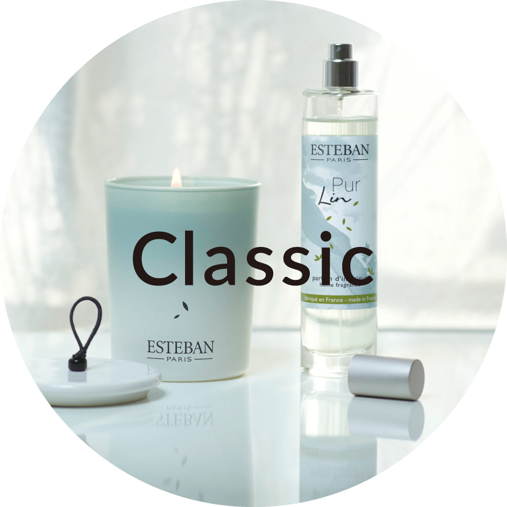 ホワイトティー by ウェスティン ハンド&ボディウォッシュ300ml – ESTEBAN