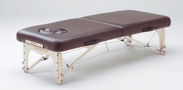 エステジャパンネット / Nechura Professional Hard Foam(ネチュラ