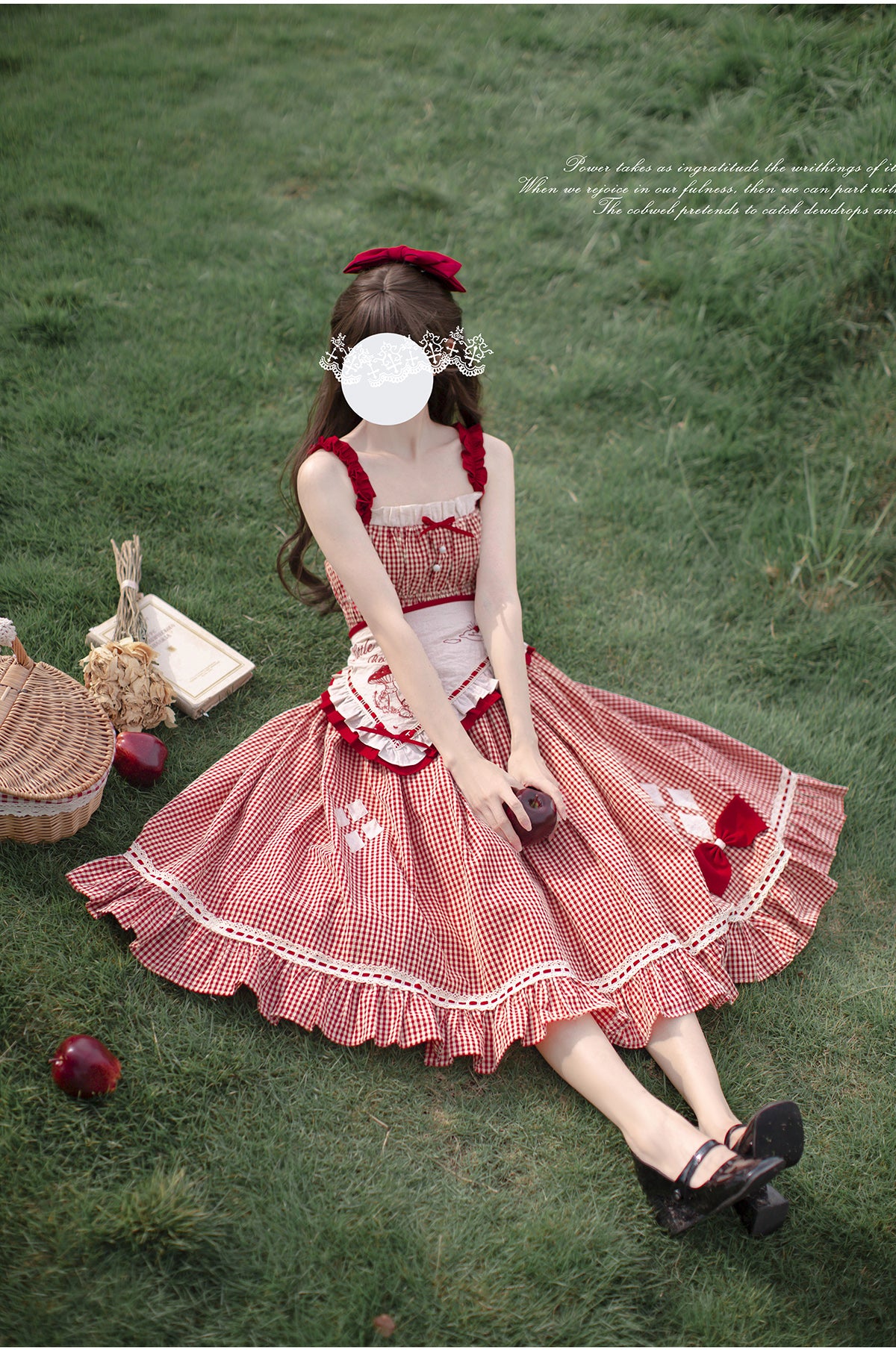 Little Red Riding Hood Gingham Check Jumper Skirt and Blouse Set