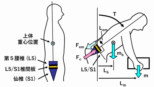 Occupational_Biomechanics – Ergo4MFG-ものづくりのための人間工学