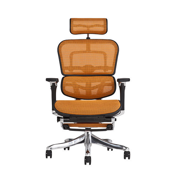 エルゴヒューマン プロ / オットマン内蔵型 / ヘッドレスト有り