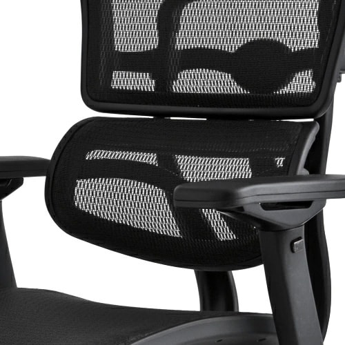 エルゴヒューマン ブラックエディション / ヘッドレスト有り【メーカー