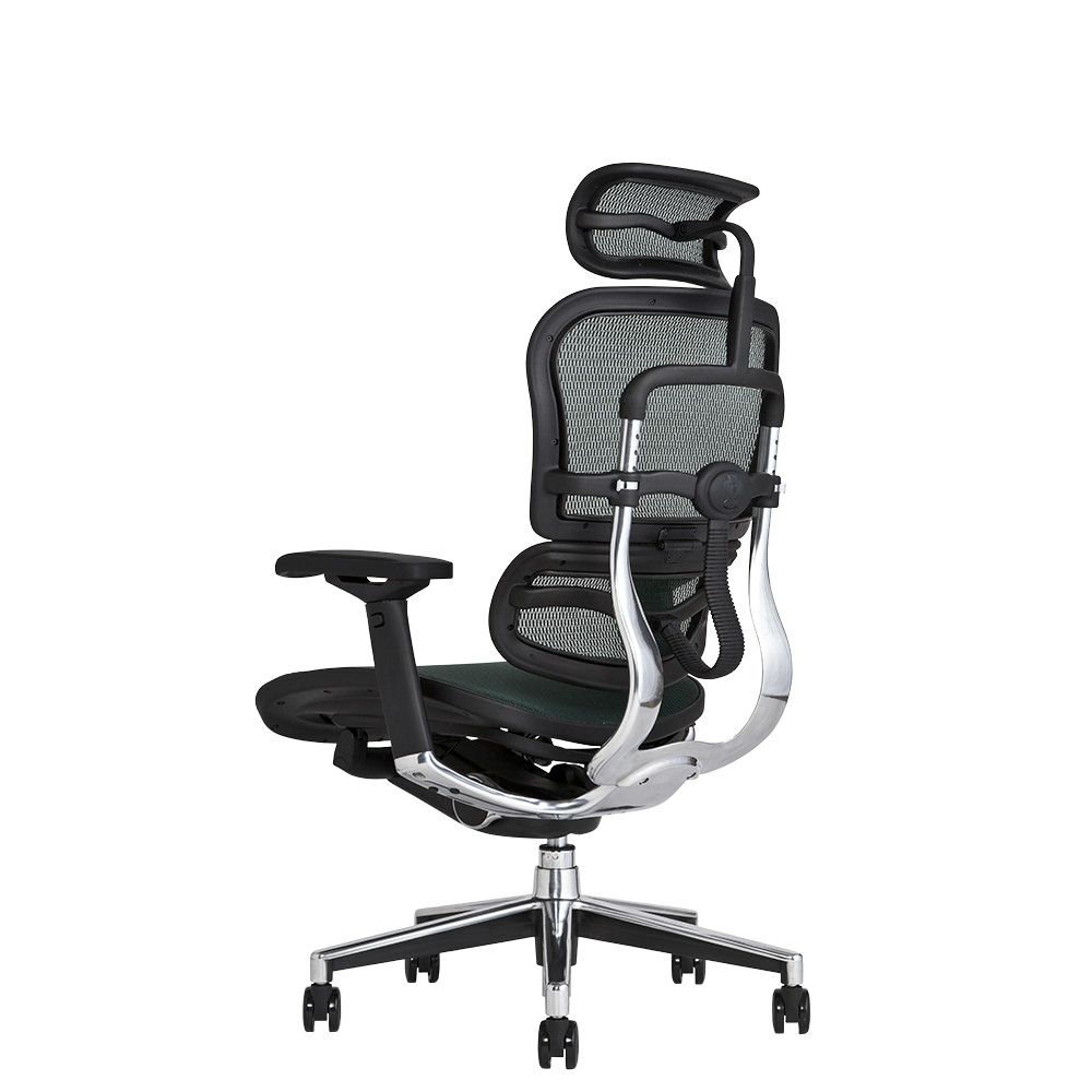 エルゴヒューマン ベーシック / ヘッドレスト有り【メーカー組み立て