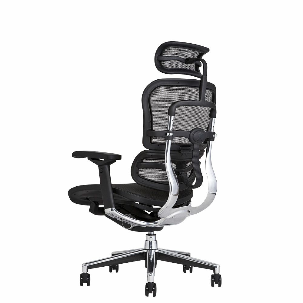 エルゴヒューマン ベーシック / ヘッドレスト有り【メーカー組み立て