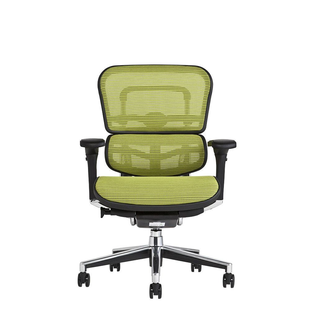 エルゴヒューマン ベーシック / ヘッドレスト無し【メーカー組み立て