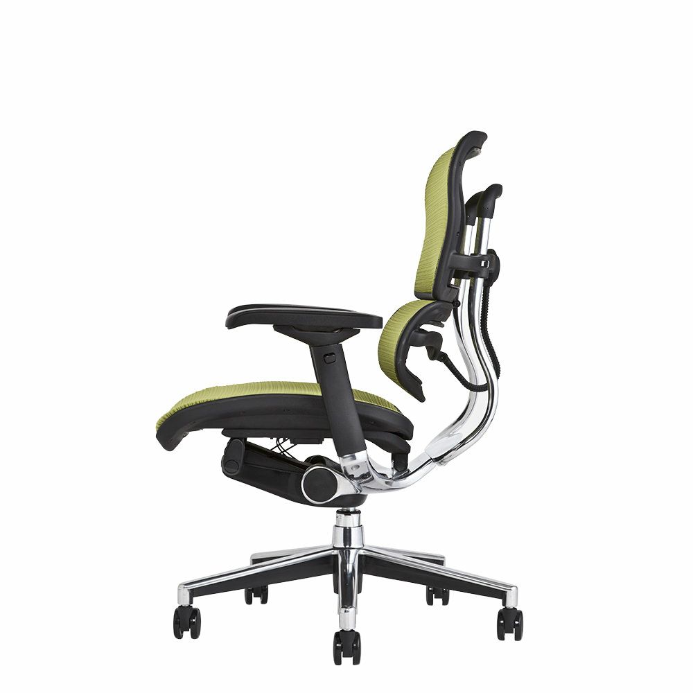 エルゴヒューマン ベーシック / ヘッドレスト無し【メーカー組み立て