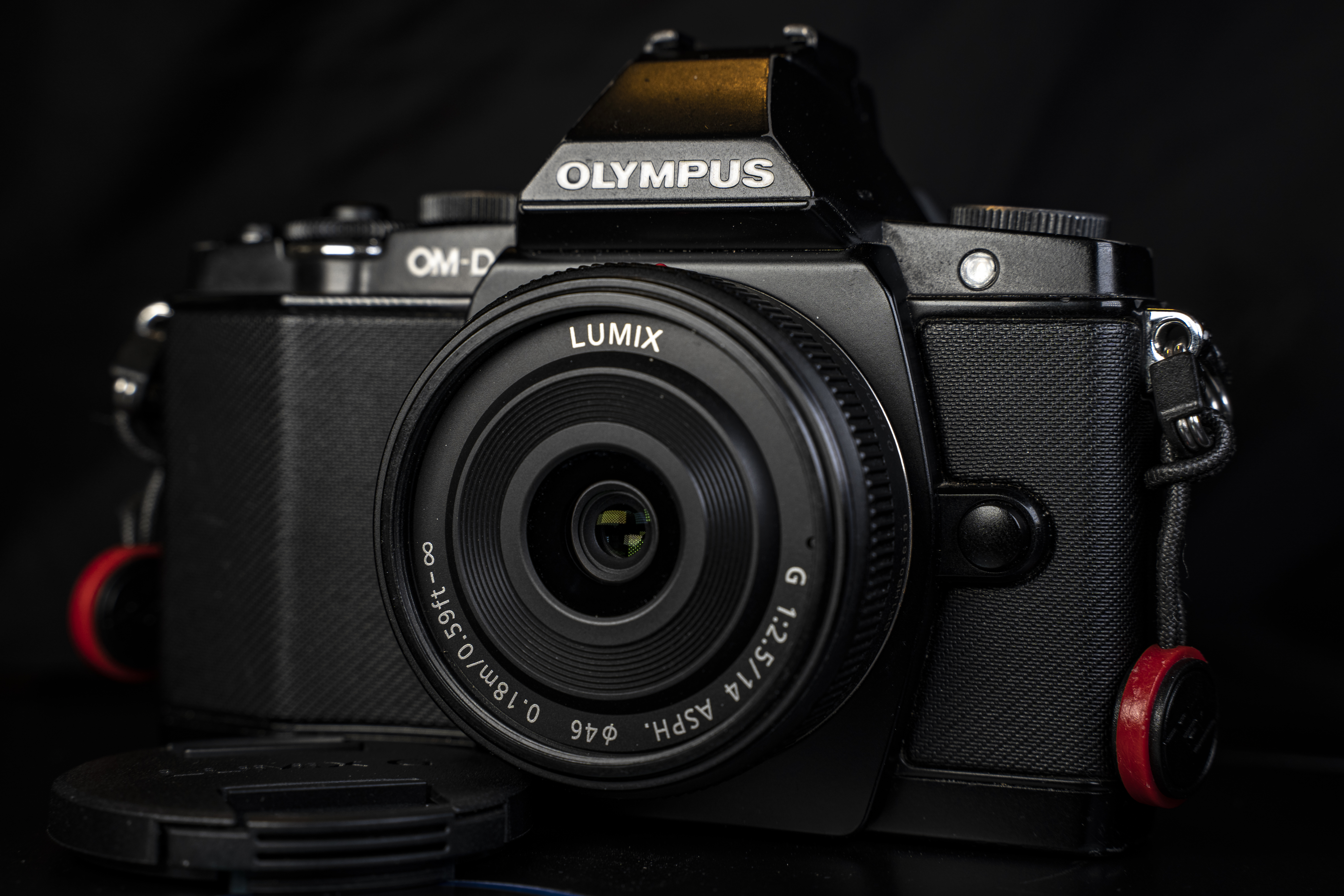 That'll do series: Olympus OMD E-M5/Lumix 14mm f/2.5 – Eric L. Woods