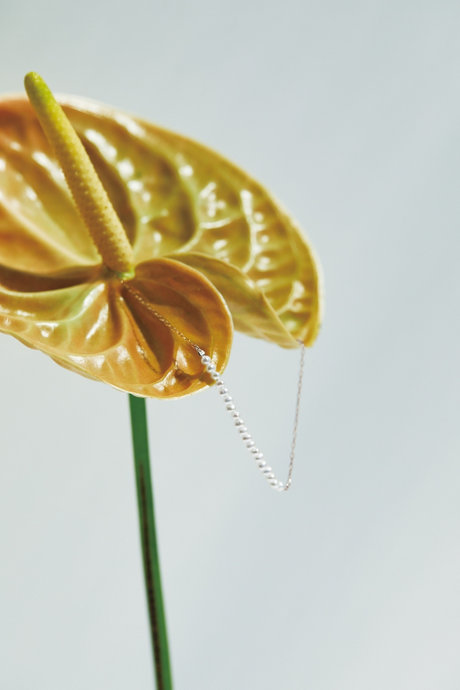 Autumn 2024 Collection 