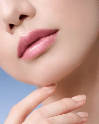 ETVOS 2025 HOLIDAY COLLECTION│《公式》エトヴォス 2025 ホリデー