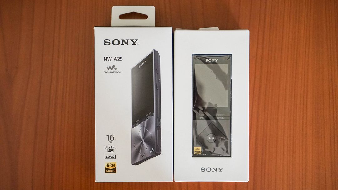 Sony NW-A25 Review – Dead Media or Niche Luxury? – Everyday Listening