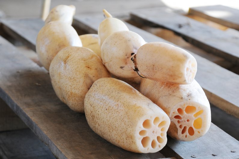 れんこん | 製品情報 | IBARAKI EXPORTS - Selection of Japanese Foods -