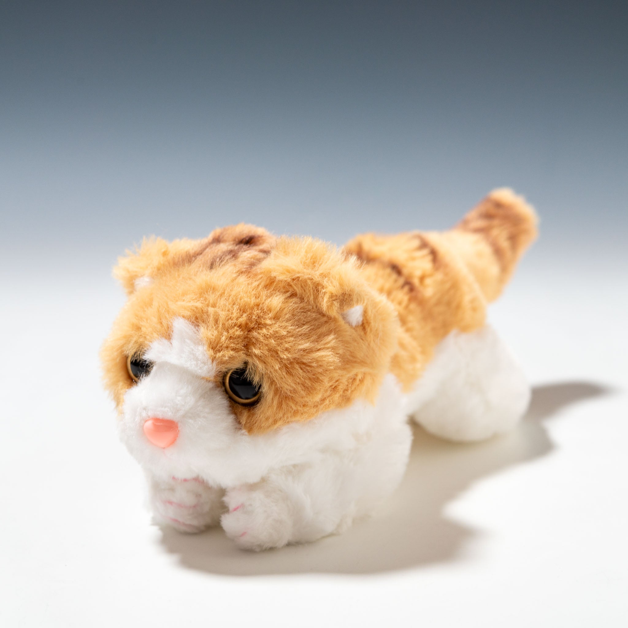 CUTE キュート販売 ぬいぐるみ くたくたニャンコ スコティッシュ