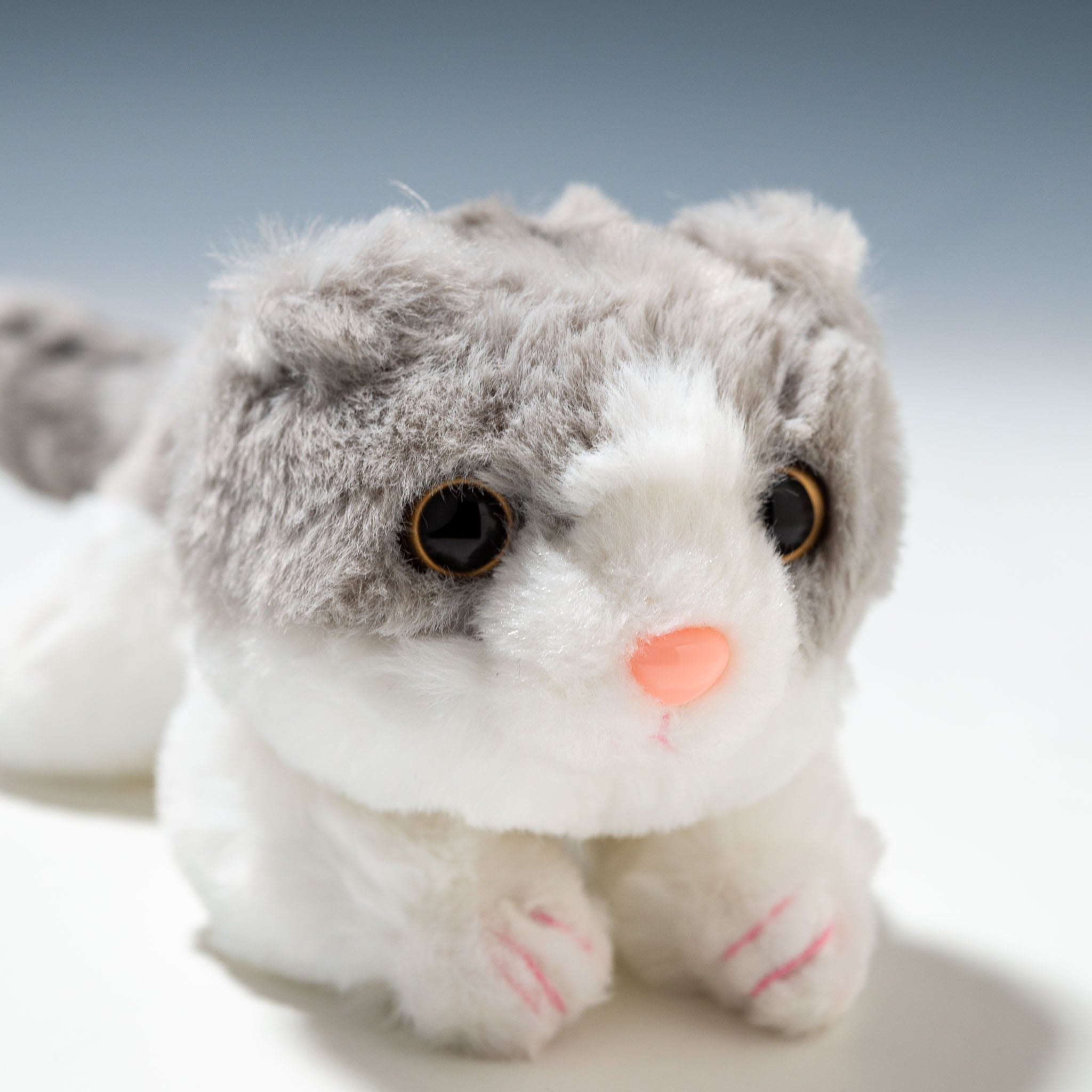 CUTE キュート販売 ぬいぐるみ くたくたニャンコ スコティッシュ