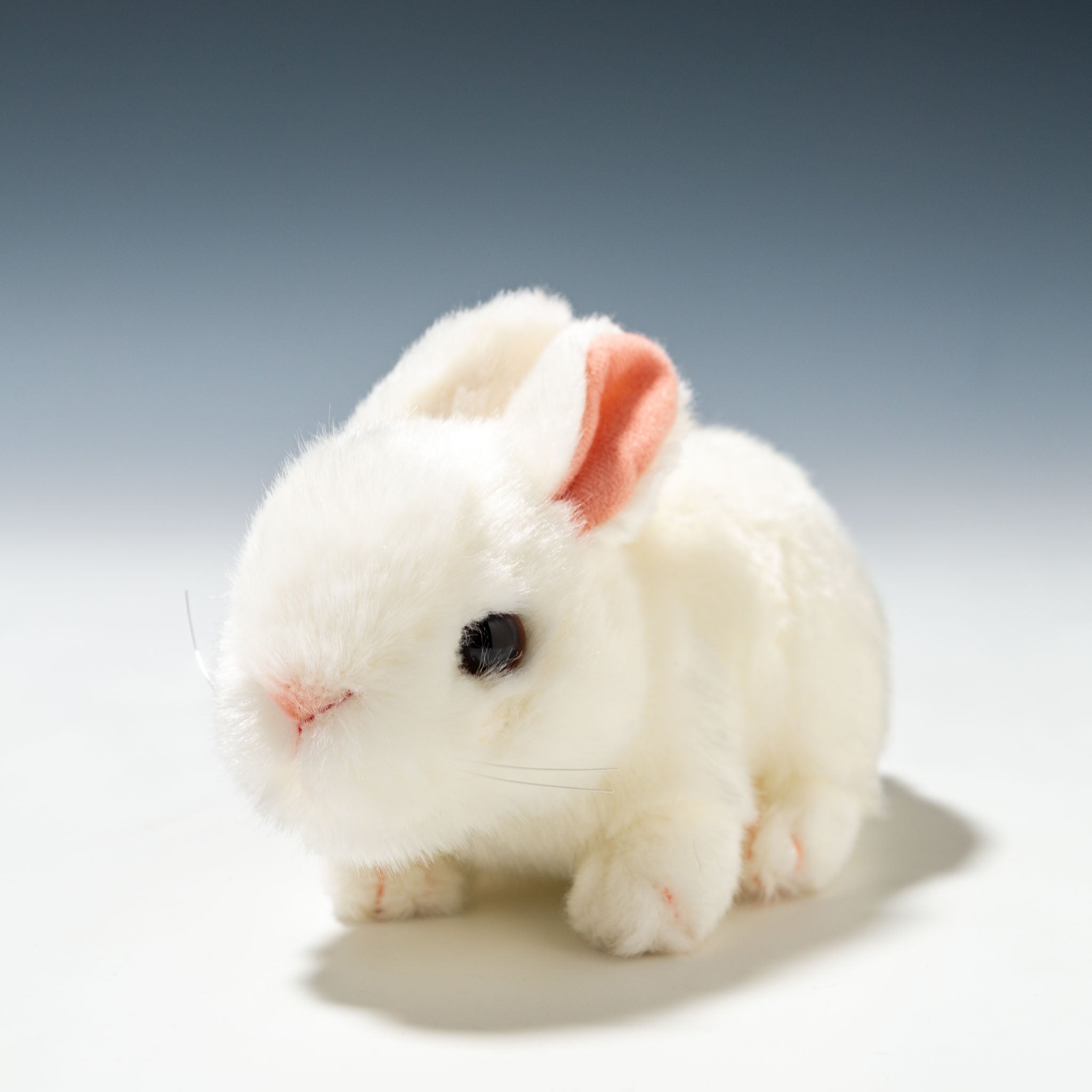 95327163-1.jpg?v=1703577219&