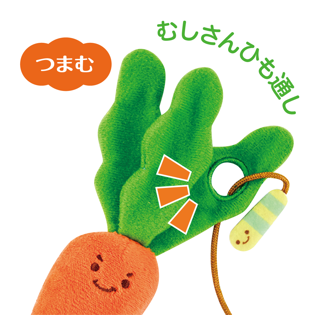 アイアップ公式通販】ぱりぱりにんじん畑 （EC限定：だいこん付き