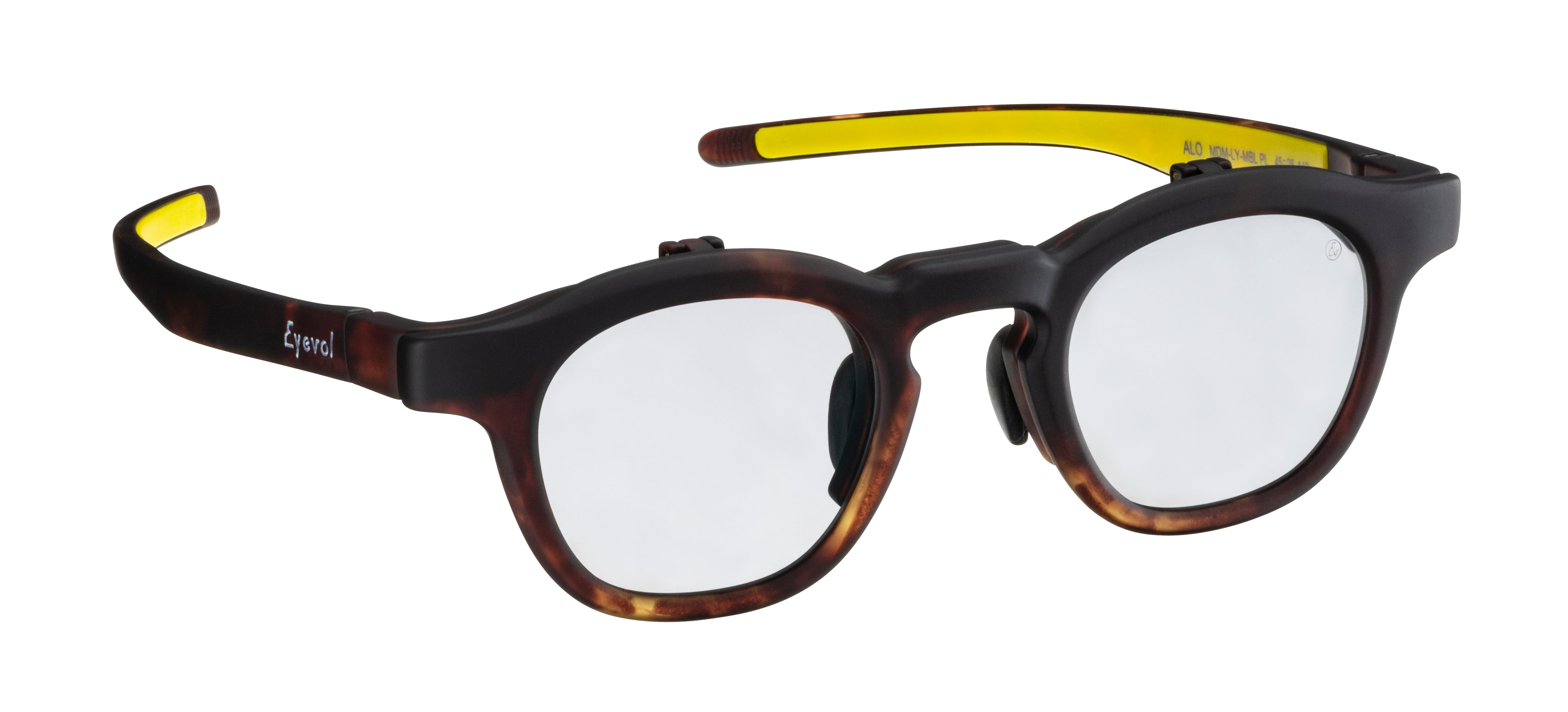 カタログの商品一覧｜サングラスのEyevol（アイヴォル）公式オンライン