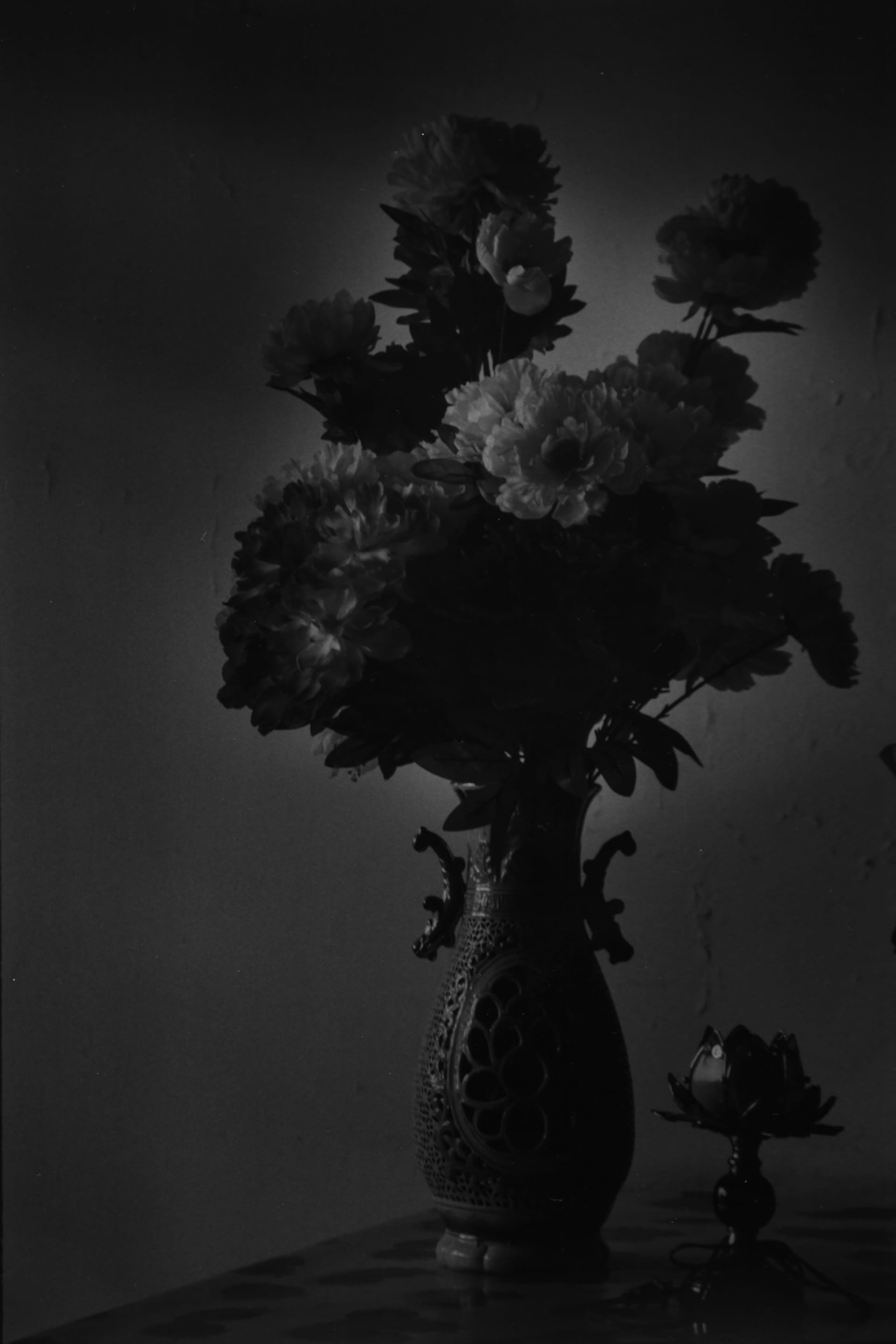 野村佐紀子の写真集『愛について』発刊1周年を記念した展覧会が開催