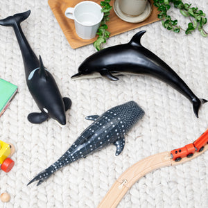 Favorite｜シャチ ビニールモデル｜愛嬌とリアルな雰囲気が共存する