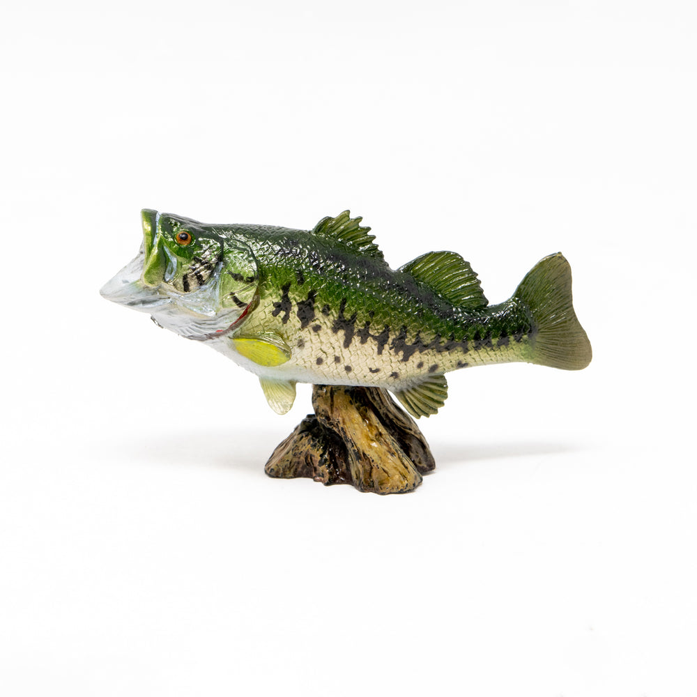 Favorite｜ブラックバス ミニモデル｜手のひらに広がる魚の世界