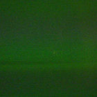 Scoprire le orme | Roberto Mazza | soave