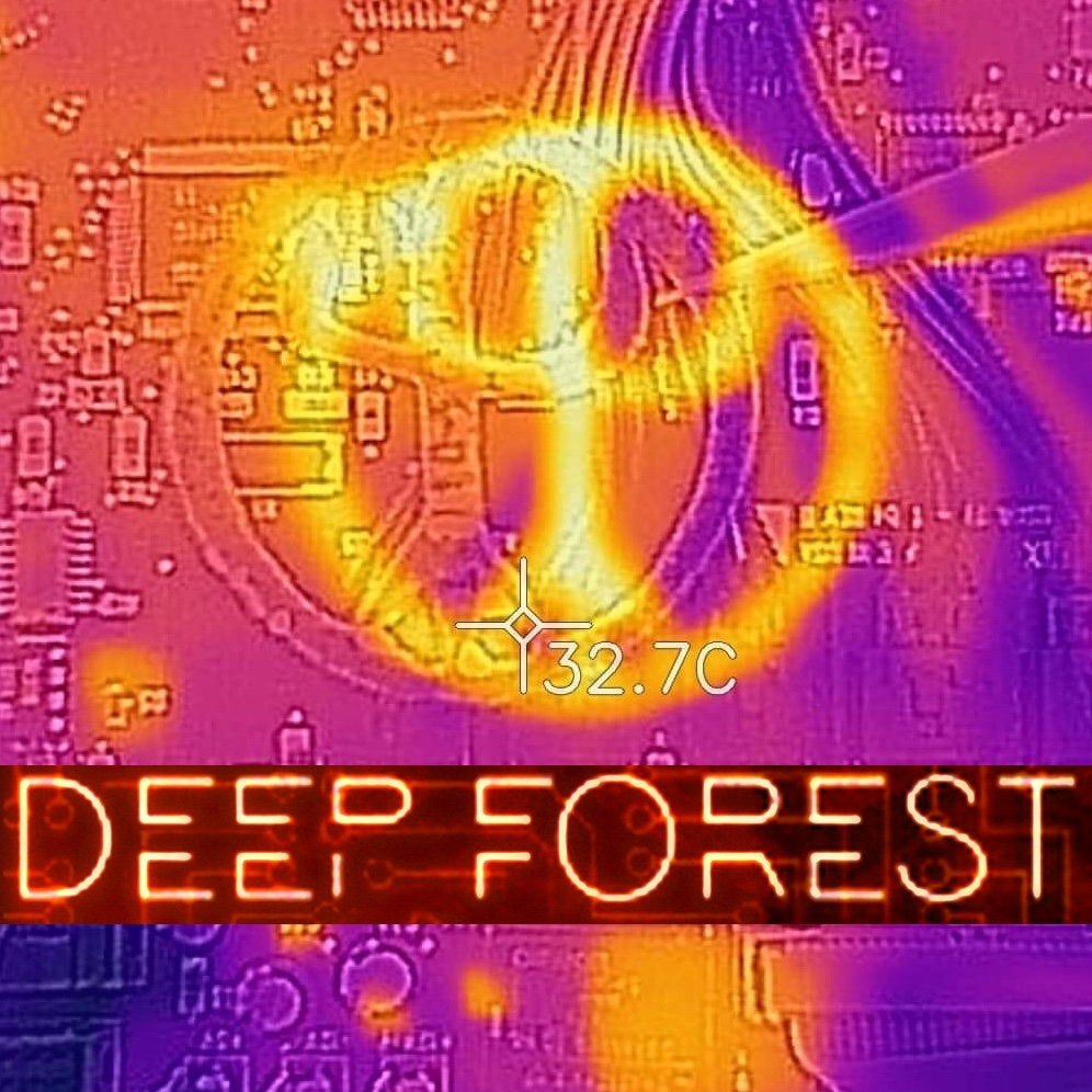 Deep Symphonic | DEEP FOREST | Deep Forest