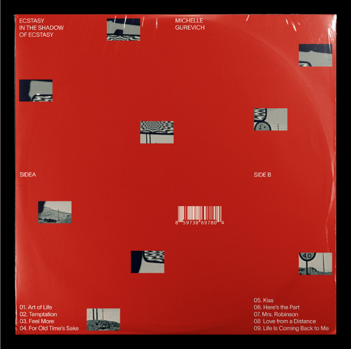 Ecstasy in the Shadow of Ecstasy | Michelle Gurevich - EU Store