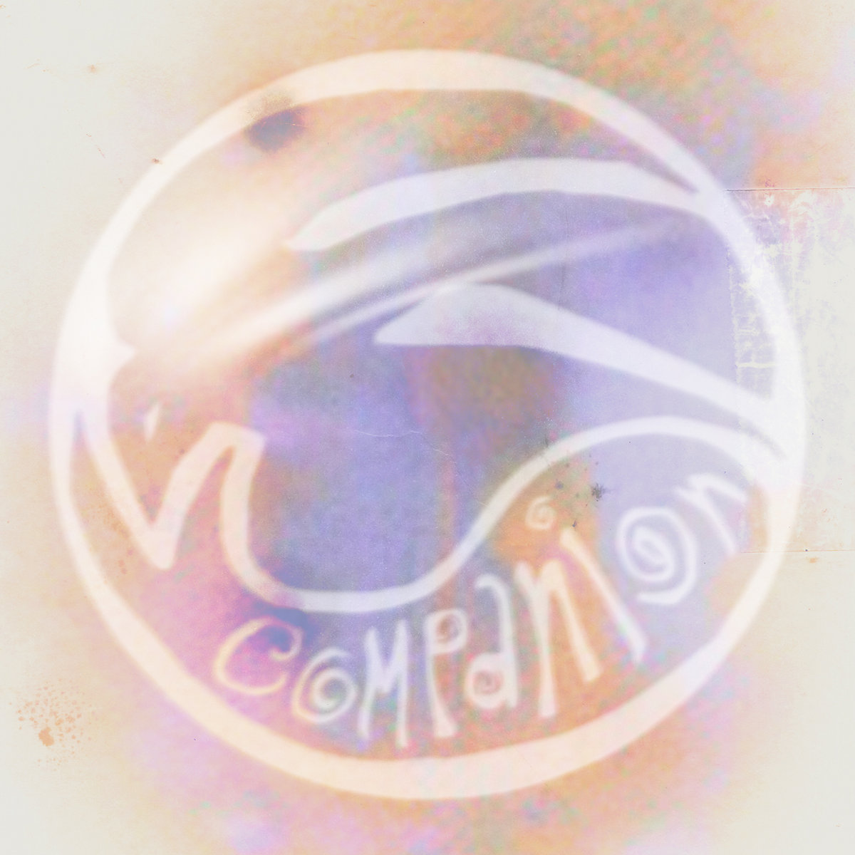 Osmosis | Space Biology | Companion