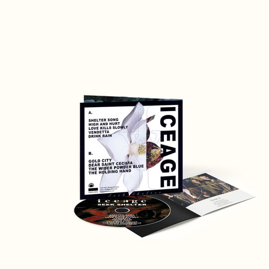 Seek Shelter | Iceage