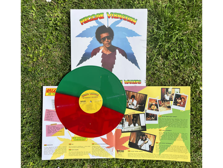 Reggae Vibration | Joe Yamanaka & The Wailers | Cinedelic