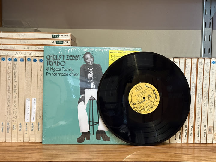 I'm Not Made Of Iron | Chrissy Zebby Tembo & Ngozi Family | Ngozi