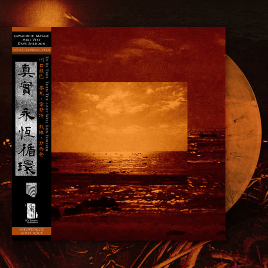 To Be True, Then The Loop Will Run Forever | Kawaguchi Masami 川口