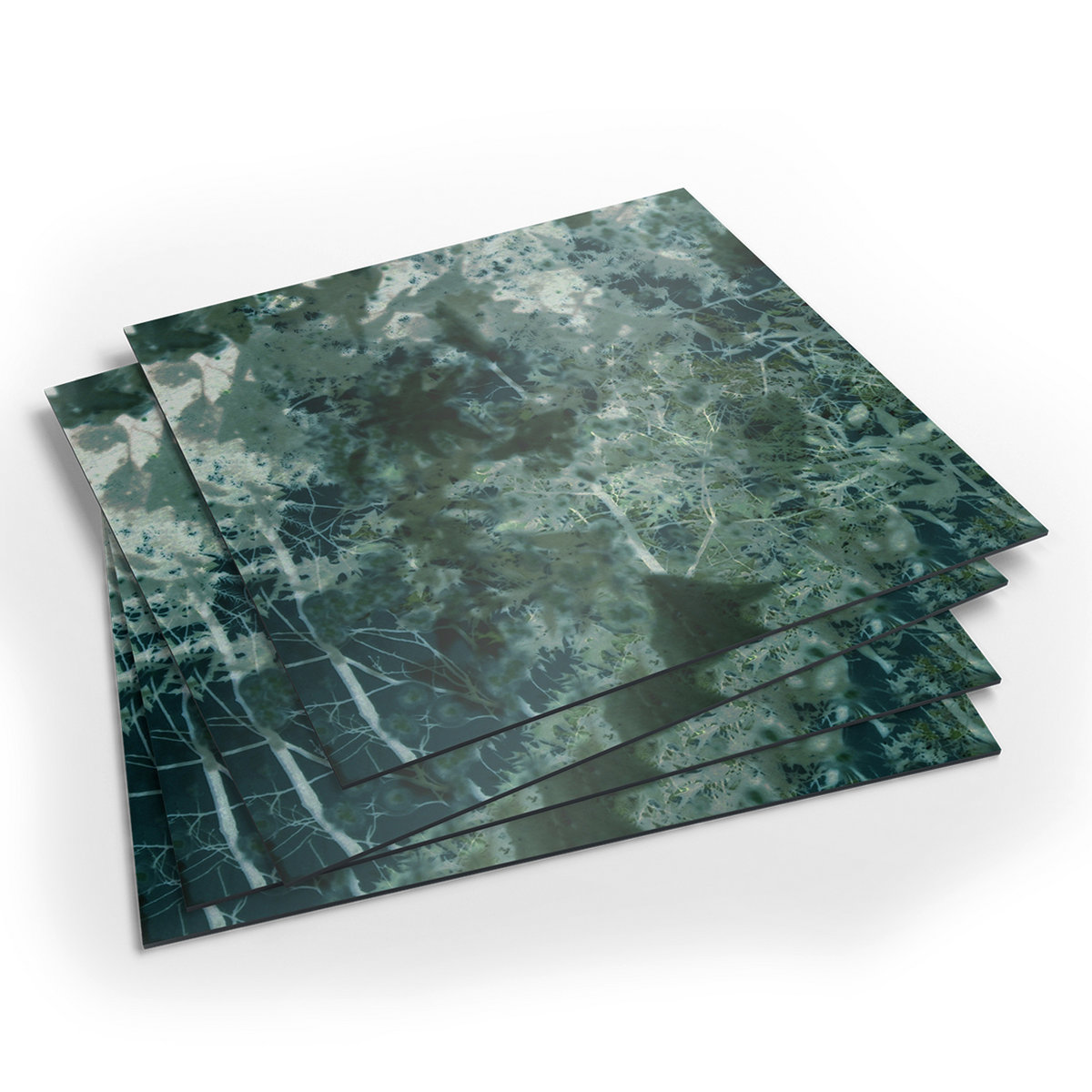 Voices From The Lake | Voices From The Lake