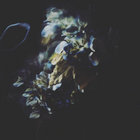 Alien Protein | Etnica | Classic Goa Trax