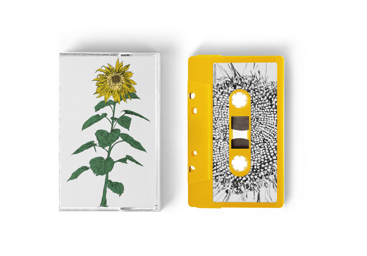 Music To Watch Seeds Grow By 007: Brian d'Souza (Sunflowers