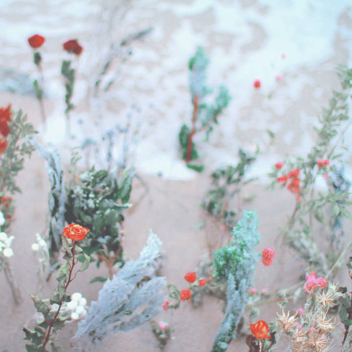 海辺の花屋 | Kana Wakareno