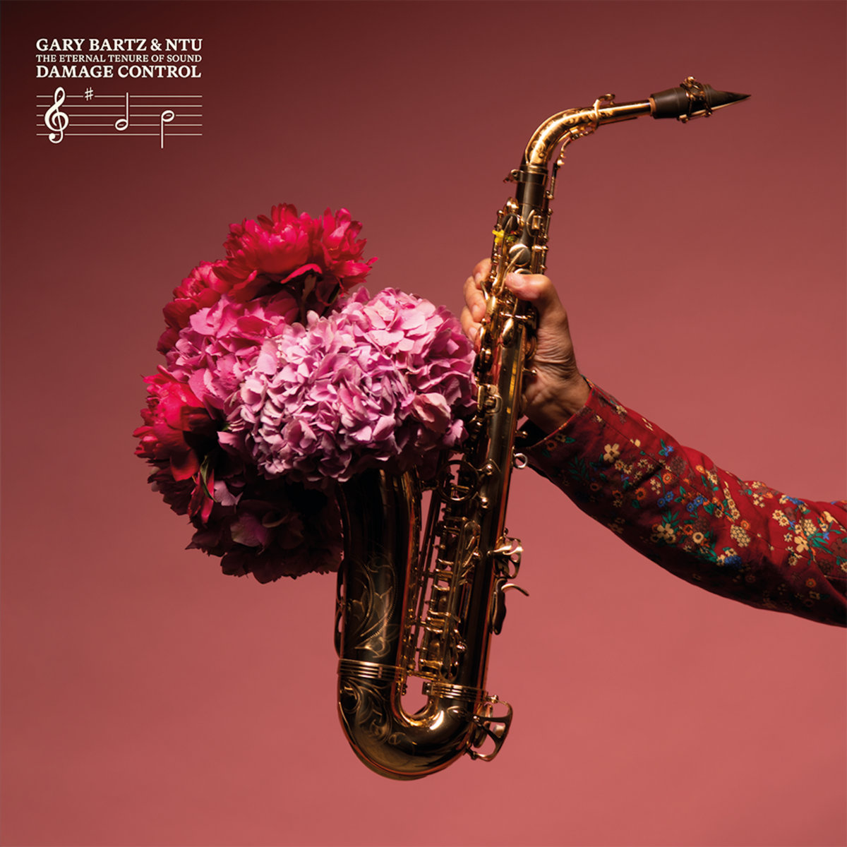 THE ETERNAL TENURE OF SOUND: DAMAGE CONTROL | GARY BARTZ AND NTU