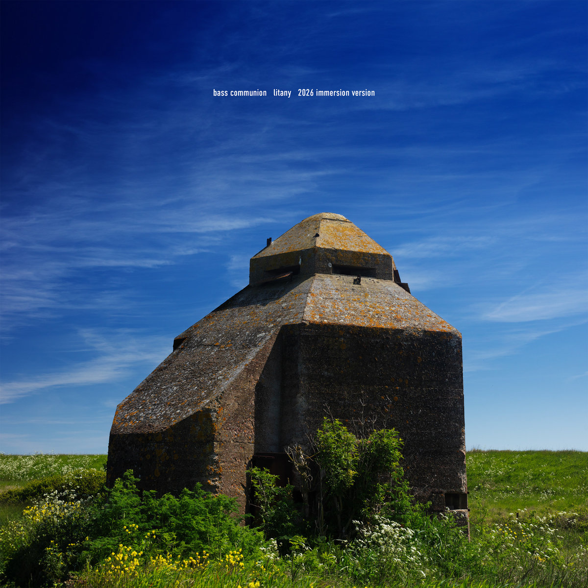 Bass Communion I | Bass Communion