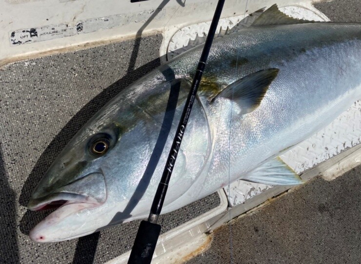 再販】UCB74ft（スピニング） | FCLLABOネットショップ