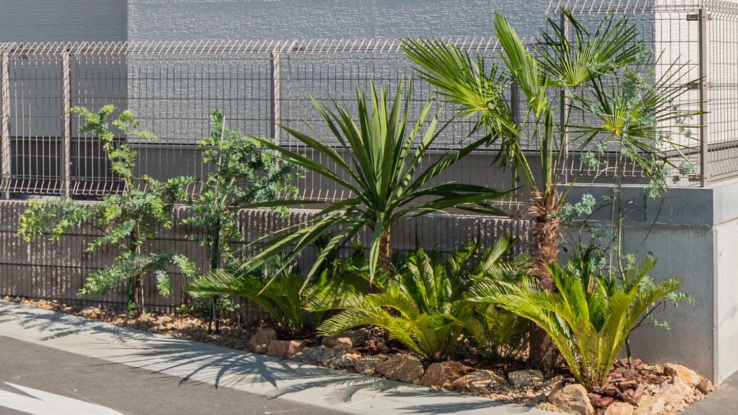 無造作がかっこいいロックガーデン＆ドライガーデンを手軽に